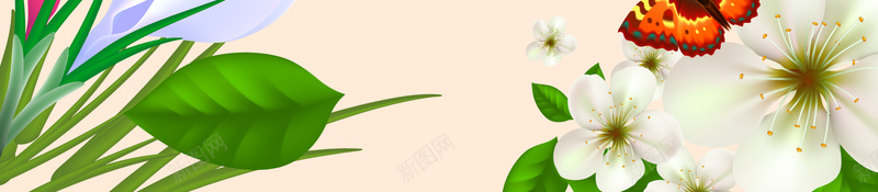 简约温馨妇女节花卉边框背景psd设计背景_88icon https://88icon.com 三八妇女节 女王节 妇女节 温馨 简约 花卉边框 礼物 妇女节背景 妇女节海报
