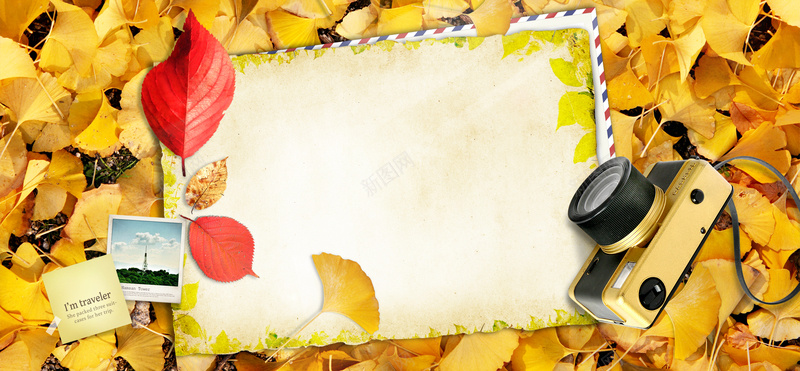 淘宝树叶枫叶背景墙信纸照片相机黄色海报jpg设计背景_88icon https://88icon.com 背景墙 信纸 创意 枫叶 树叶 照片 相机 黄色 海报