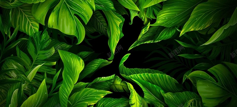 绿色植物背景jpg设计背景_88icon https://88icon.com 绿色 植物 手绘 清新 海报banner 卡通 童趣