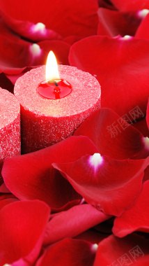 蜡烛玫瑰花瓣情人节背景背景
