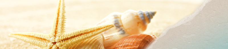 蓝色简约海岛旅游海报psd设计背景_88icon https://88icon.com 夏天 夏季 度假 暑期 沙滩 海岛小船 海底 海景 海边 海边旅游 海边风景 游玩 游轮