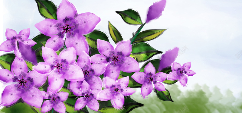 手绘紫色花朵背景背景