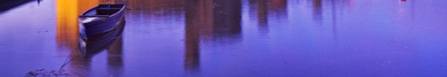 紫色浪漫城市H5背景psd设计背景_88icon https://88icon.com 花瓣漂浮 金色城市 城市 浪漫 紫色 H5背景 H5 h5 梦幻