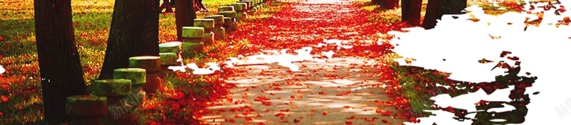 中国风北京香山旅行jpg设计背景_88icon https://88icon.com 旅行 旅行社 旅游 旅行北京 北京香山 北京香山红叶 美丽北京 圆梦北京 中秋香叶 红叶香山 香山红