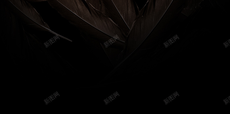 酒吧炫酷背景海报psd设计背景_88icon https://88icon.com 酒吧 黑金色 星光 渐变 质感 黑羽毛 纹理