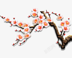 季节一枝盛开的漂亮桃花高清图片