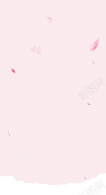 粉色带花瓣背景背景