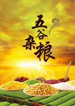 膳食养生黄色麦田五谷杂粮海报背景素材高清图片