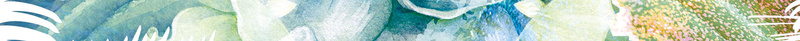 小清新文艺广告背景psd设计背景_88icon https://88icon.com 夏天 夏季 小清新 花朵 手绘 简约 文艺 简洁 梦幻 海报 平面 广告 背景 PSD 素材 模板