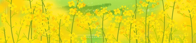 小清新春天你好油菜花风景插画psd设计背景_88icon https://88icon.com 小清晰插画 油菜花旅游 春天插画 春天风景 绿色 踏青 春天海报 春季出游 春季卡通 春季少女 春季促销 春天元素 春季背景 春季海报 出游踏青 油菜花风景插画 清新 油菜 海报