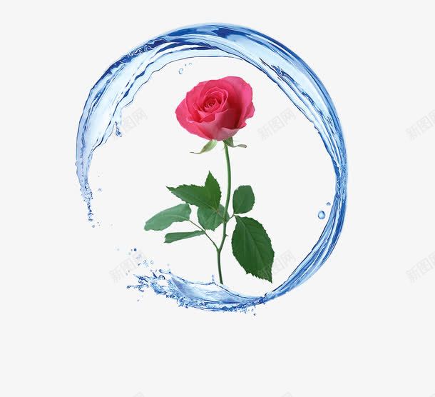 玫瑰花水创意图png免抠素材_88icon https://88icon.com 水流 花朵 花卉 鲜花 玫瑰花 圆形水流 水背景 护肤品 水流效果 绿叶 水滴