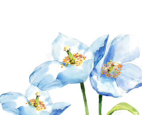 蓝色水墨花朵背景背景