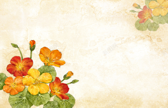 橙色手绘花朵背景背景