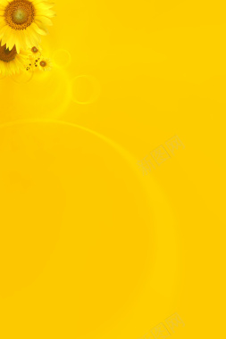 向日葵橙黄色背景背景