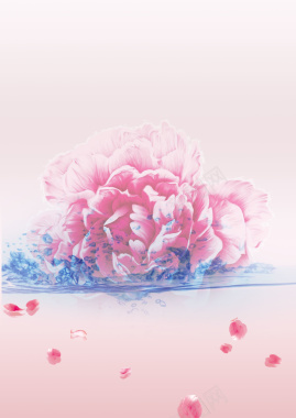 红色花卉化妆品海报背景素材背景