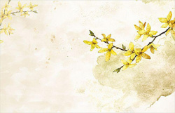 中国风迎春花海报背景背景图片素材素材