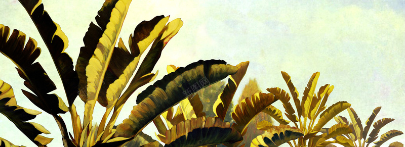 巴蕉树抽象油画背景背景