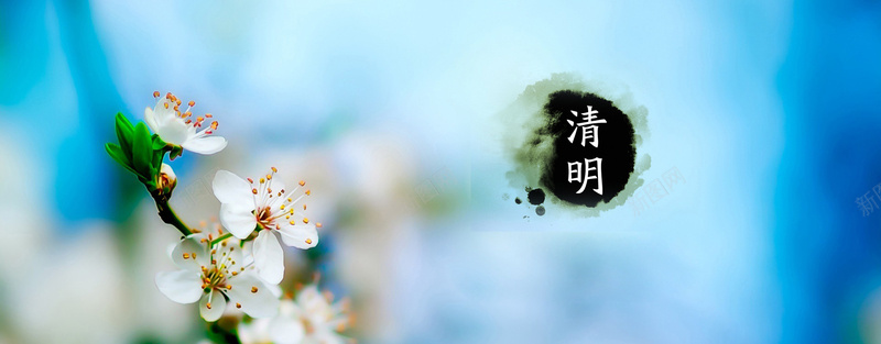 清明清新背景psd设计背景_88icon https://88icon.com 清明 清明节 踏青 花瓣 海报banner 浪漫 梦幻