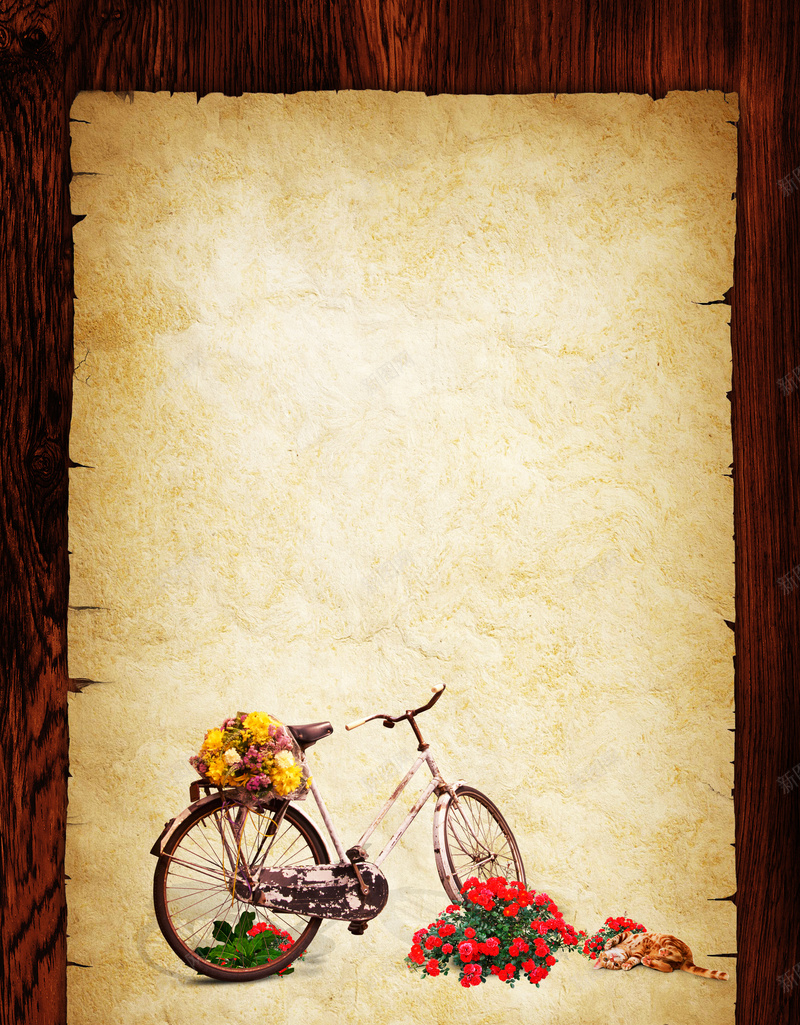 单车玫瑰花小猫木纹边框背景psd设计背景_88icon https://88icon.com 玫瑰花 单车 复古 小猫 底纹 木纹边框背景 文艺 小清新 简约