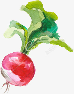水果水彩画手绘水彩风樱桃萝卜插画素材高清图片