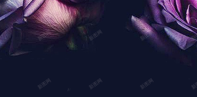 蓝色玫瑰情人节H5背景jpg设计背景_88icon https://88icon.com 蓝色妖姬 情人节 浪漫 玫瑰 蓝色 H5背景 玫瑰背景 蓝色玫瑰