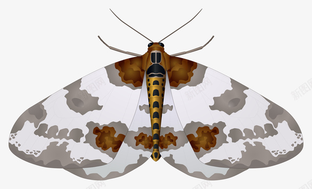 彩色蝴蝶昆虫图片素材png免抠素材_88icon https://88icon.com 彩色蝴蝶PNG图 彩色蝴蝶 PNG图 蝴蝶 PNG