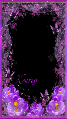 紫色鲜花边框psd素材下载背景