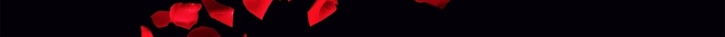 黑色质感花瓣玫瑰花黑色情人节海报背景jpg设计背景_88icon https://88icon.com 黑色情人节 海报设计 花瓣 质感 黑色 玫瑰花 玫瑰 红色 4月14日