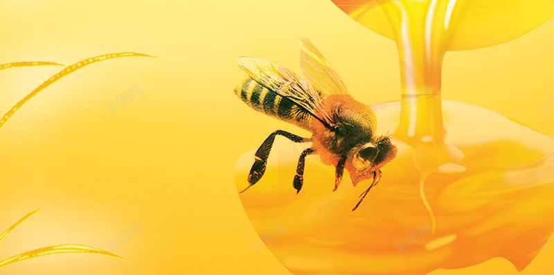 浓香蜂蜜H5背景psd设计背景_88icon https://88icon.com 金黄色 科技 蜂巢 蜂蜜 蜜蜂 蜜蜂文化 科幻 商务