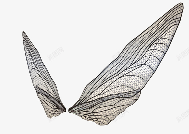 3D透明翅膀png免抠素材_88icon https://88icon.com 翅膀 透明 3D 装饰