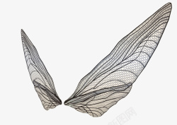 3D透明翅膀素材