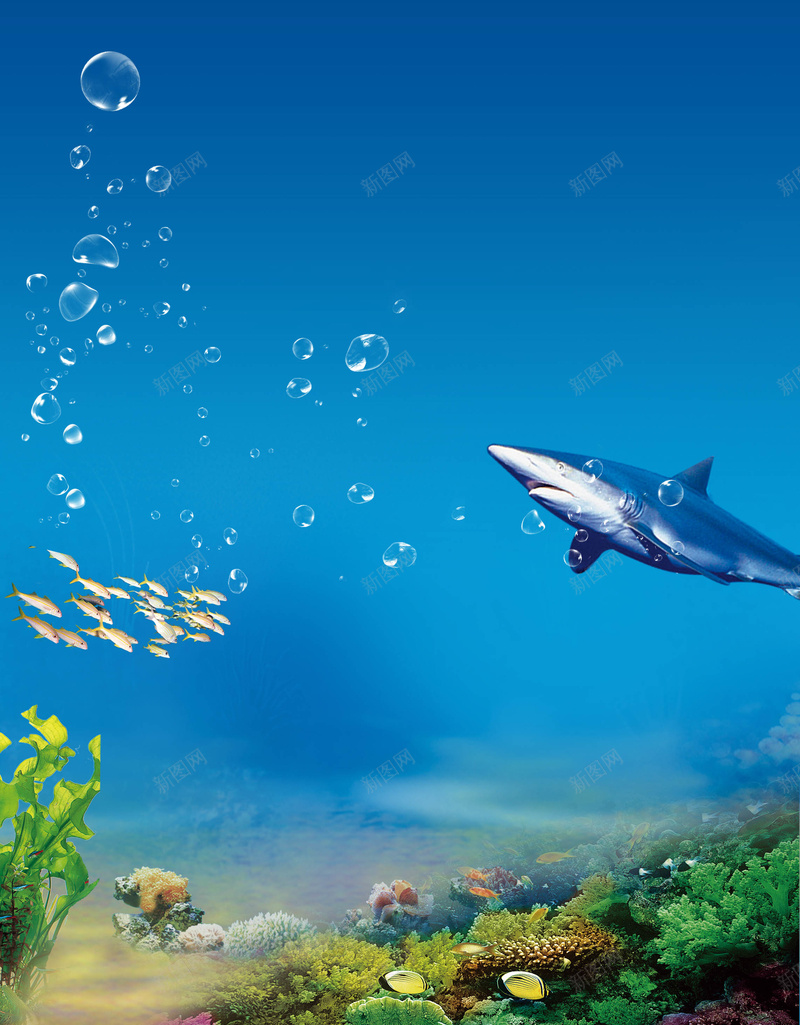 海底世界海报背景元素jpg设计背景_88icon https://88icon.com 海底世界 气泡 海报 海草 鱼 背景 元素 海底 海底背景 海报元素 海报背景 元素背景