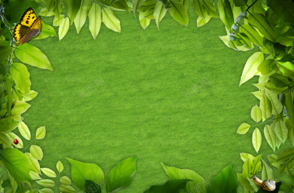 绿色清新树叶边框背景背景
