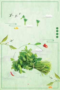 有机芹菜有机蔬菜芹菜美食背景模板高清图片