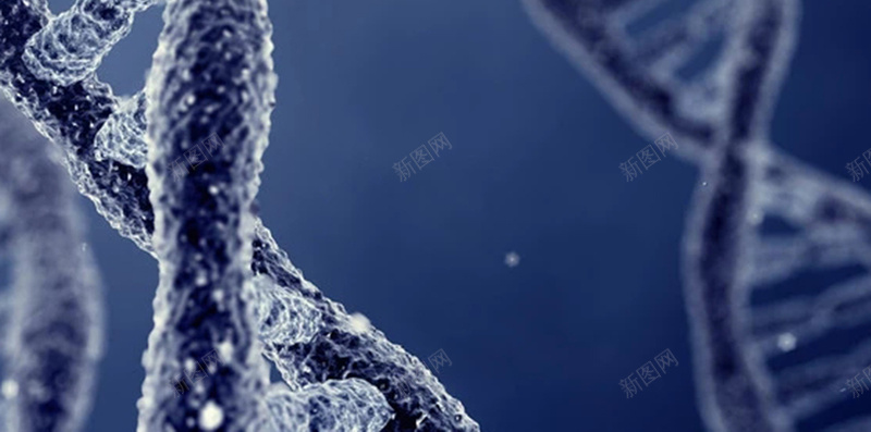 蓝色写实感DNA结构图H5背景元素jpg设计背景_88icon https://88icon.com DNA 写实 医学 医学背景 医学背景图片 医生 护士 生物 结构图 蓝色 蓝色背景