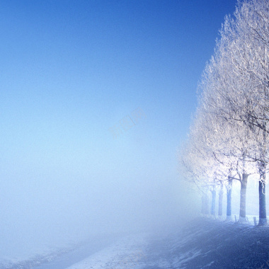 风景雪景树林天猫主图背景元素背景