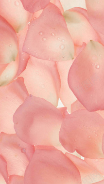 粉红色花朵花瓣平铺H5背景背景