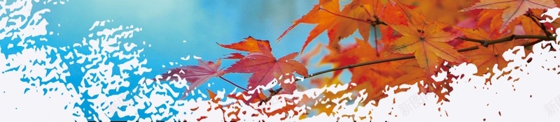 时尚北京香山旅游jpg设计背景_88icon https://88icon.com 北京香山 美丽北京 旅游海 旅游 旅行 北京香山红叶 旅行社 旅行北京 圆梦北京 中秋香叶 红叶香