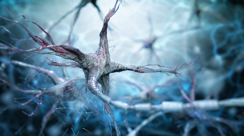 蓝色医疗神经元神经组织背景素材jpg设计背景_88icon https://88icon.com 蓝色 神经元 抽象 医疗 健康 神经 神经组织 海报 背景 素材
