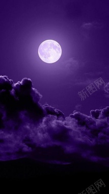 紫色月夜H5背景背景