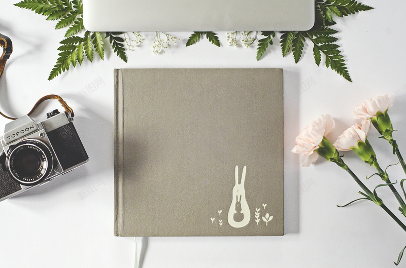 清新花朵花卉装饰摄影海报jpg设计背景_88icon https://88icon.com 清新 花朵 花卉 清新花朵 康乃馨 摄影海报 粉色花朵 摄影 相机 装饰