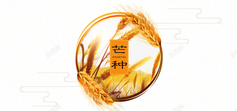 二十四节气芒种黄色稻谷bannerjpg设计背景_88icon https://88icon.com 中华传统节日 二十四节气 芒种节气 稻谷 黄色 简约 复古 文艺