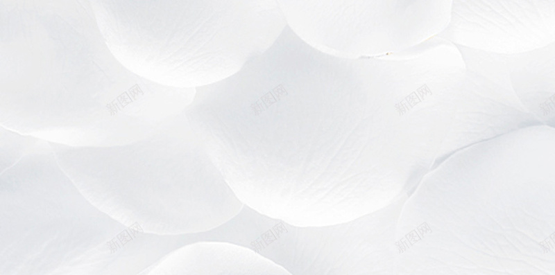 梦幻爱心玫瑰PS源文件H5背景素材psd设计背景_88icon https://88icon.com 520 我爱你 梦幻 爱心 玫瑰 表白日 粉色 浪漫 PS源文件 H5背景 素材 花瓣 花香