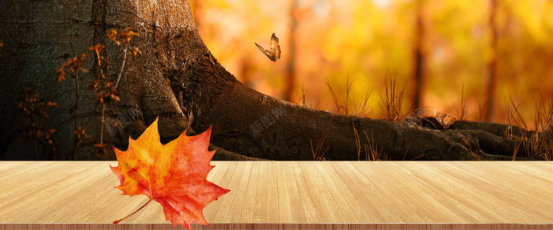 秋季枫树枫叶淘宝背景psd设计背景_88icon https://88icon.com 枫叶 枫树 梦幻 橙色 秋季 木板 淘宝 背景 海报banner