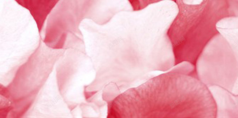 唯美花瓣H5背景jpg设计背景_88icon https://88icon.com 小清新 几何 唯美 扁平 文艺 H5背景 花朵 H5 h5 简约