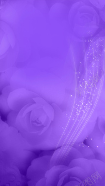 梦幻紫色花朵H5背景素材背景