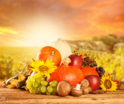 食材喜欢秋季背景与蔬菜水果高清图片
