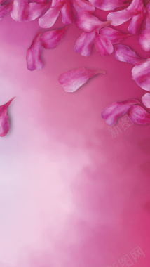 粉红花瓣边框PSD分层H5背景素材背景