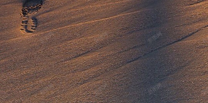 海滩上的脚印H5背景jpg设计背景_88icon https://88icon.com 黄色 沙滩 脚印 阳光 海水 H5 h5 摄影 风景