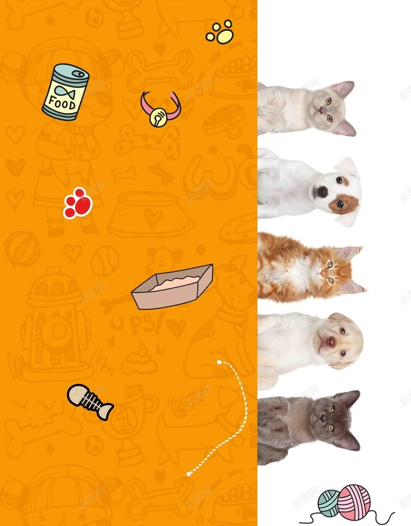 橙色宠物店带我回家促销psd设计背景_88icon https://88icon.com 带我回家 宠物店 促销 宠物 橙色 宠物之家 猫 狗